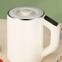 Japanese Portable Heating Cup